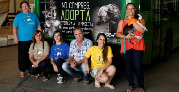 Las guaguas municipales de Arrecife promocionan a la Protectora de Animales Sara