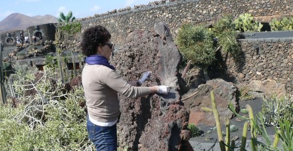 Se inicia el estudio sobre el deterioro de los monolitos del Jardín del Cactus