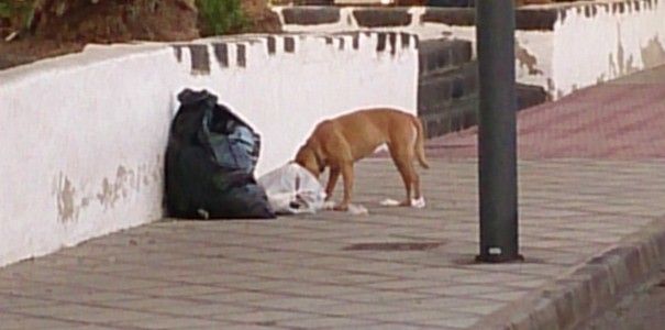 Todas las calles cercanas a la plaza de Titerroy parecen un basurero