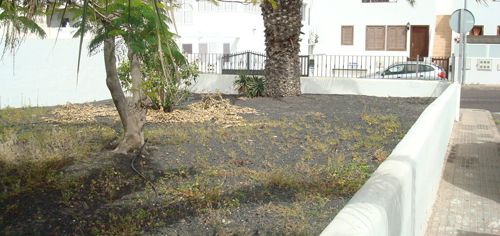 Denuncian la situación de abandono de un jardín público en Playa Honda