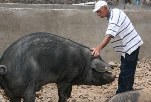 Ecología en el plato