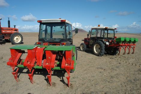 El Cabildo mecanizará todo el proceso de cultivo de  lenteja