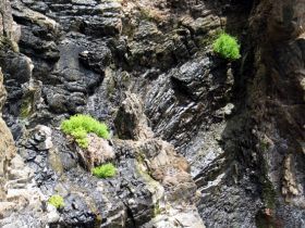 El Guincho denuncia la aparición de filtraciones de agua en el sur de la Isla