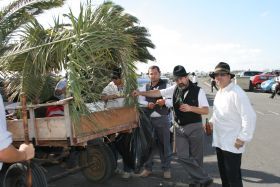 Más seguridad y menos palmeras en Los Dolores