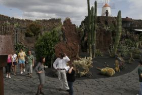 Más de 1.000 ejemplares de 55 especies repueblan el Jardín de Cactus