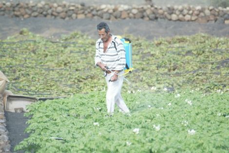 La Mesa de Vicedirectores de Enseñanza Secundaria acuerda poner en marcha un proyecto de difusión de la agricultura tradicional de la isla