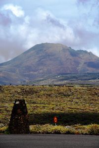 Medio Ambiente publica el acuerdo de la Cotmac que aprueba las normas de conservación del Monumento Natural de La Corona