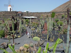 Los Centros Turísticos tuvieron en noviembre la peor afluencia de la última década, pero incrementaron su recaudación en más de 570 mil euros