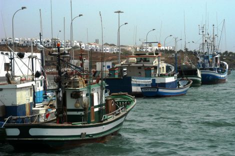 Los barcos canarios volverán a pescar en las aguas territoriales de Marruecos después de siete años