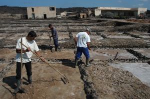 Las Salinas del Janubio ya tienen normas para conservarse como Sitio de Interés Científico