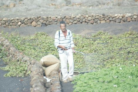 Los agricultores del norte de la Isla dispondrán de agua sin depender de la red doméstica