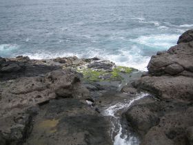 Un vertido de sal amenaza el ecosistema de la costa de Janubio