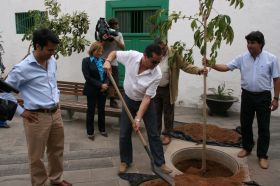 El Ayuntamiento de Arrecife planta sus primeros árboles