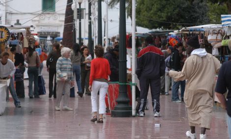 Los conejeros pueden tomar parte en el borrador del Reglamento de Participación