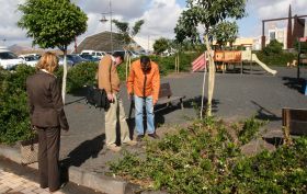 Trescientos árboles darán sombra en el Parque Temático