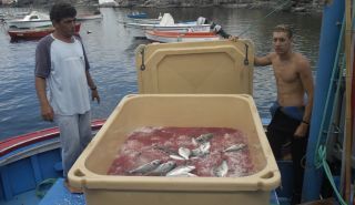 Los pescadores de Playa Blanca reclaman unas infraestructuras adecuadas y que se luche contra el intrusismo