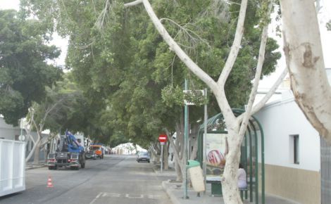 La Asociación de Vecinos de Titerroy reclama ahora más barrenderos para sus calles