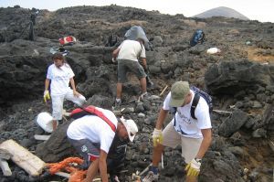 Los proyectos medioambientales se resienten ante la descoordinación de las administraciones