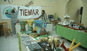 Tiemar organiza un mercadillo popular con motivo del Día de Canarias