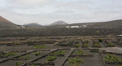 Lanzarote y Canarias se promocionan en Alemania