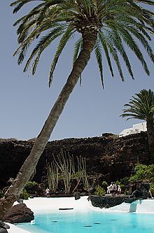 El CSIC instala sensores de temperatura y propiedades en los lagos de Los Jameos del Agua