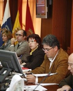 El Cabildo solicita una inmediata reconsideración del fallo del concurso eólico