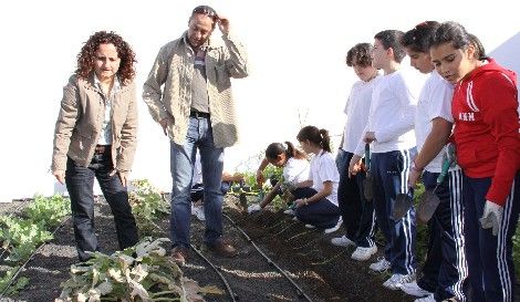 El Cabildo continúa con el proyecto de los huertos escolares