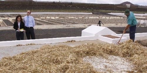 Gobierno de Canarias y Cabildo trabajan juntos para fomentar la agricultura ecológica en la isla