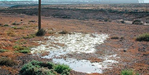 Fugas de agua sin reparar en Yaiza