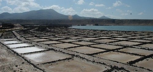 El Gobierno canario acusa al PSOE de "dar la espalda" al Archipiélago por votar contra la propuesta de apoyar las salinas