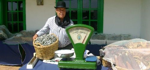 El Monumento al Campesino acogió lo mejor de los productos canarios