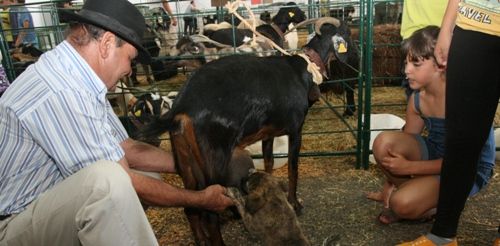 Uga acogió la III Muestra de Ganado San Isidro Labrador