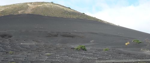 El APMUN precinta la montaña de El Chupadero ante la apertura de ocho expedientes por extracción de rofe