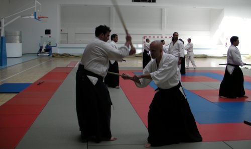 Curso de Aikido Escuela de Verano