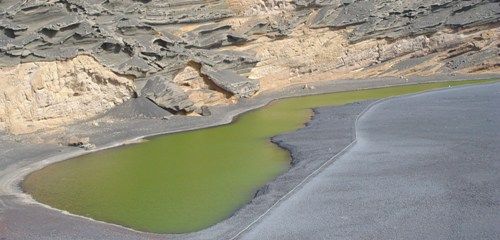 Un insecto se resiste a la recuperación del Charco de Los Clicos