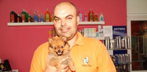 El tráfico de perros de raza, un problema desconocido