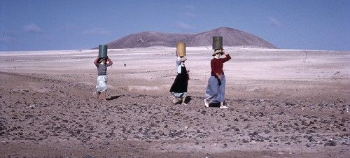 El Cabildo y la Filmoteca Canaria intentan recuperar las huellas cinematográficas de la isla