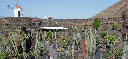 Los Centros Turísticos conmemoran el 25 de septiembre el 20 aniversario del Jardín de Cactus