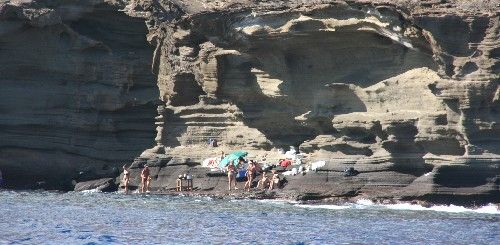 SEO/BirdLife denuncia la caza furtiva de varios pollos de pardela cenicienta en el islote de Alegranza