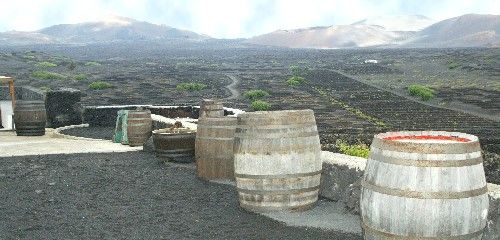 Bodegas Los Bermejos participa en un estudio sobre el envejecimiento de los vinos bajo el mar