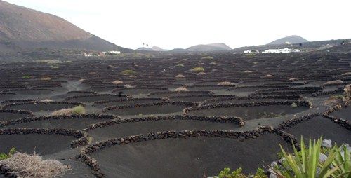 El Plan Especial de Paisaje Protegido de La Geria entra en vigor tras su publicación en el BOC