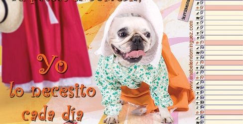 La protectora SARA elabora un calendario navideño con imágenes de los animales de su albergue