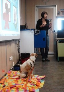 SARA pone en marcha el proyecto en los colegios de Teguise para enseñar a los niños a ser "responsables con los animales