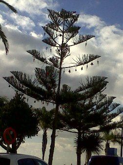 Nuevas imágenes confirman que la Navidad "continúa" en las calles de Arrecife