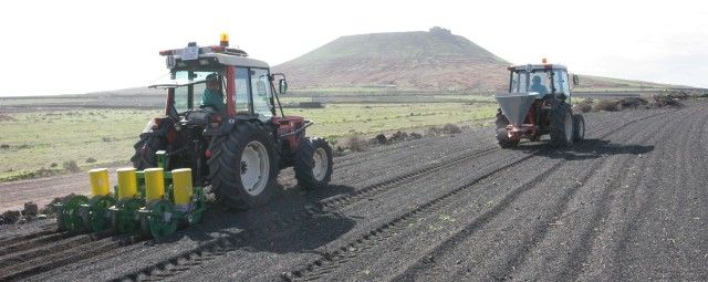 Agricultores de Teguise denuncian que les están robando los productos de sus tierras