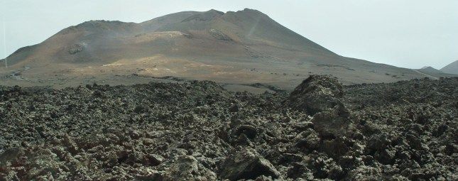 Liberado un ejemplar de guirre en el Parque Nacional de Timanfaya tras ser hallado con síntomas de envenenamiento