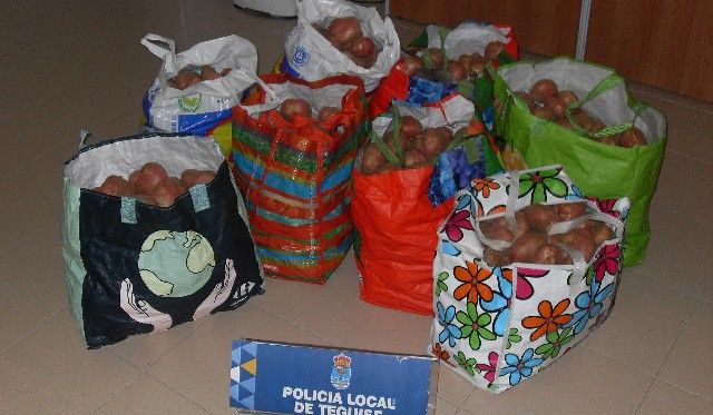 La Policía Local de Teguise detiene a un presunto ladrón que se estaba llevando 154 kilos de papas de una finca