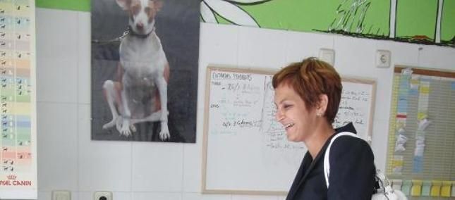 La Concejalía de Sanidad de Arrecife colaborará con Sara en la esterilización de animales abandonados