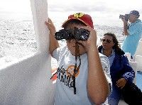 Teguise apuesta por potenciar el Archipiélago Chinijo como paraíso para el avistamiento de pájaros