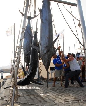 El Concurso de Pesca de Altura de Puerto Calero arranca este viernes con más de 30 participantes